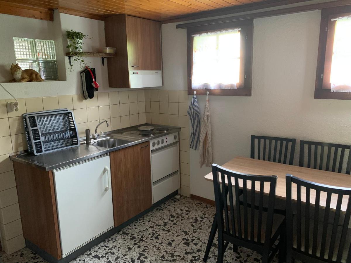 Naturnahe Wohnung Fur 1 - 4 Personen Brienz  Dış mekan fotoğraf